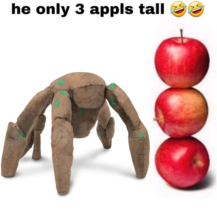 Asset